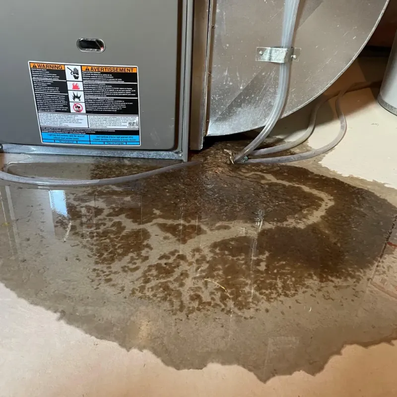 Appliance Leak Cleanup in Shelbyville, TN